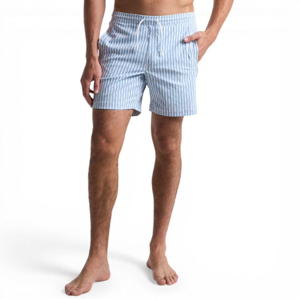 Birddogs Men's Archibald Swim Shorts Bathing Suit Blue & White Stripes Large 9"